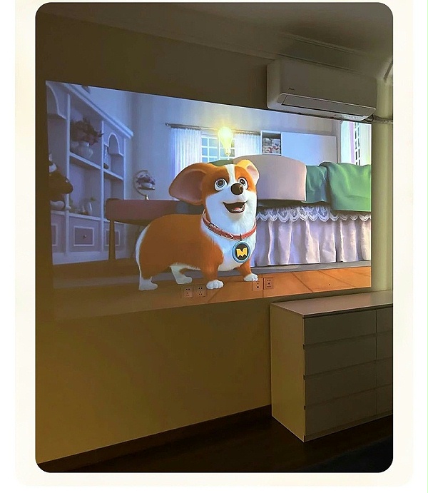 微信图片_20250331114211