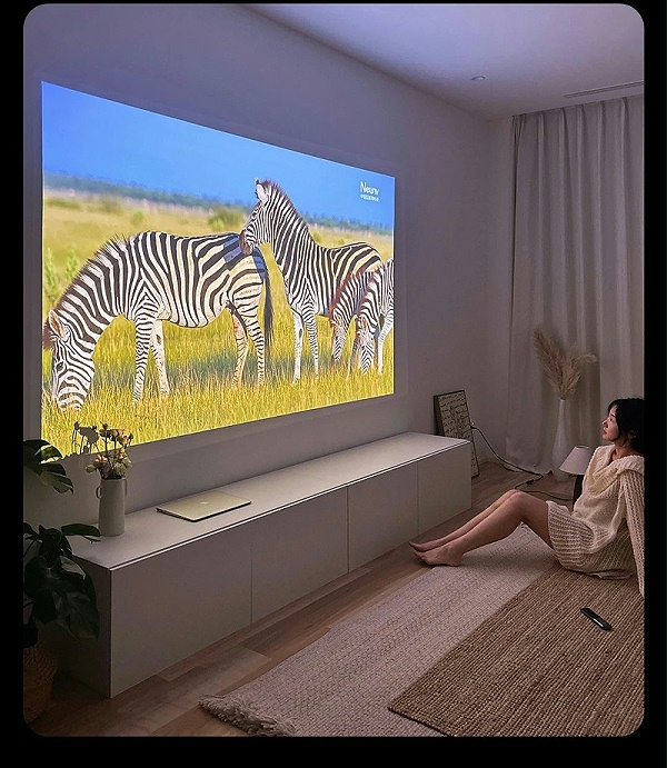 微信图片_2025-08-01_174531_117